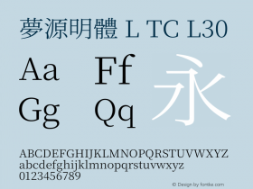 夢源明體 L TC