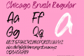 Chicago Brush