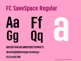 FC SaveSpace