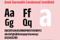 Anek Gurmukhi Condensed