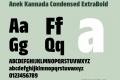 Anek Kannada Condensed