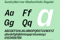 SundryNarrow-MediumItalic