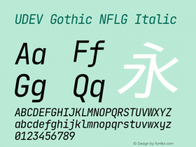 UDEV Gothic NFLG