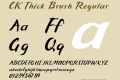 CK Thick Brush