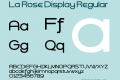 La Rose Display