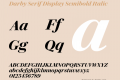 Darby Serif Display