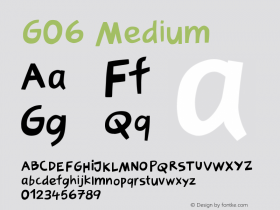 G06