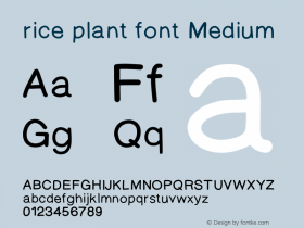 rice plant font