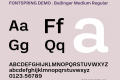 FONTSPRING DEMO - Ballinger Medium