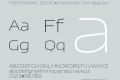 FONTSPRING DEMO - Nizzoli Rd Thin