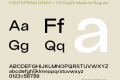 FONTSPRING DEMO - TG Reglic Medium