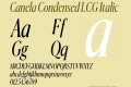 Canela Condensed LCG