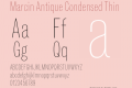 Marcin Antique Condensed