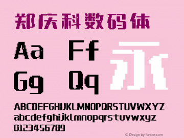 郑庆科数码体