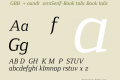 WGBBWO+FoundryFormSerif-BookItalic