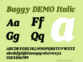 Baggy DEMO