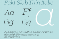 Fakt Slab