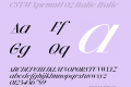 CSTM Xprmntl 02 Italic