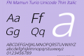 FN Mamun Turio Unicode