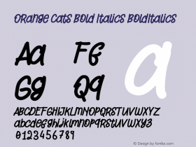 Orange Cats Bold Italics