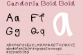 Candonia Bold