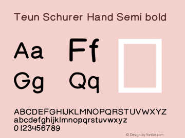 Teun Schurer Hand Semi