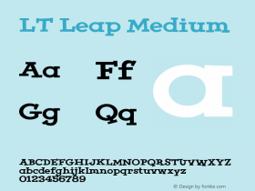 LT Leap