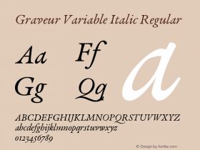 Graveur Variable Italic