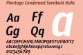 Plantago Condensed