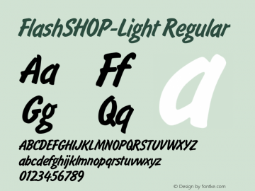 FlashSHOP-Light