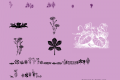 Floral-Motifs-Single Plants