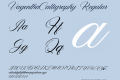 VagenthaCalligraphy