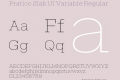 Pratico Slab UI Variable