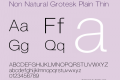 Non Natural Grotesk Plain