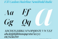 F37 Caslon Hairline