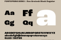 FONTSPRING DEMO - Roc Grotesk Black