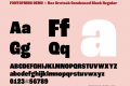 FONTSPRING DEMO - Roc Grotesk Condensed Black