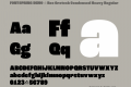 FONTSPRING DEMO - Roc Grotesk Condensed Heavy