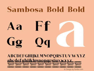 Sambosa Bold