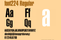 font224