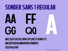 Sonder Sans 1