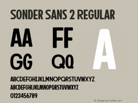 Sonder Sans 2