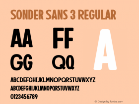 Sonder Sans 3