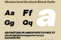 Westerland Grotesk