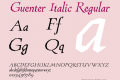 Guenter Italic