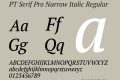 PT Serif Pro Narrow Italic