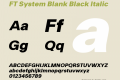 FT System Blank