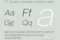 FT System Grotesk