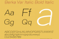 Berka Var Italic