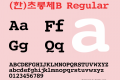 (한)초롱체B